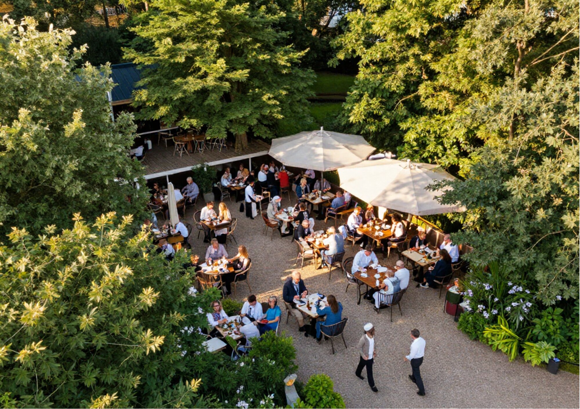 Luchtfoto van een vol terras met parasols tussen de bomen op een zonnige dag